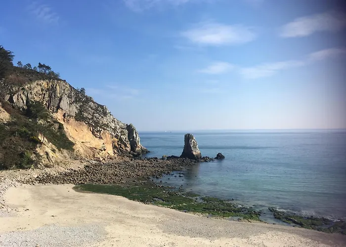 Ty Sea
