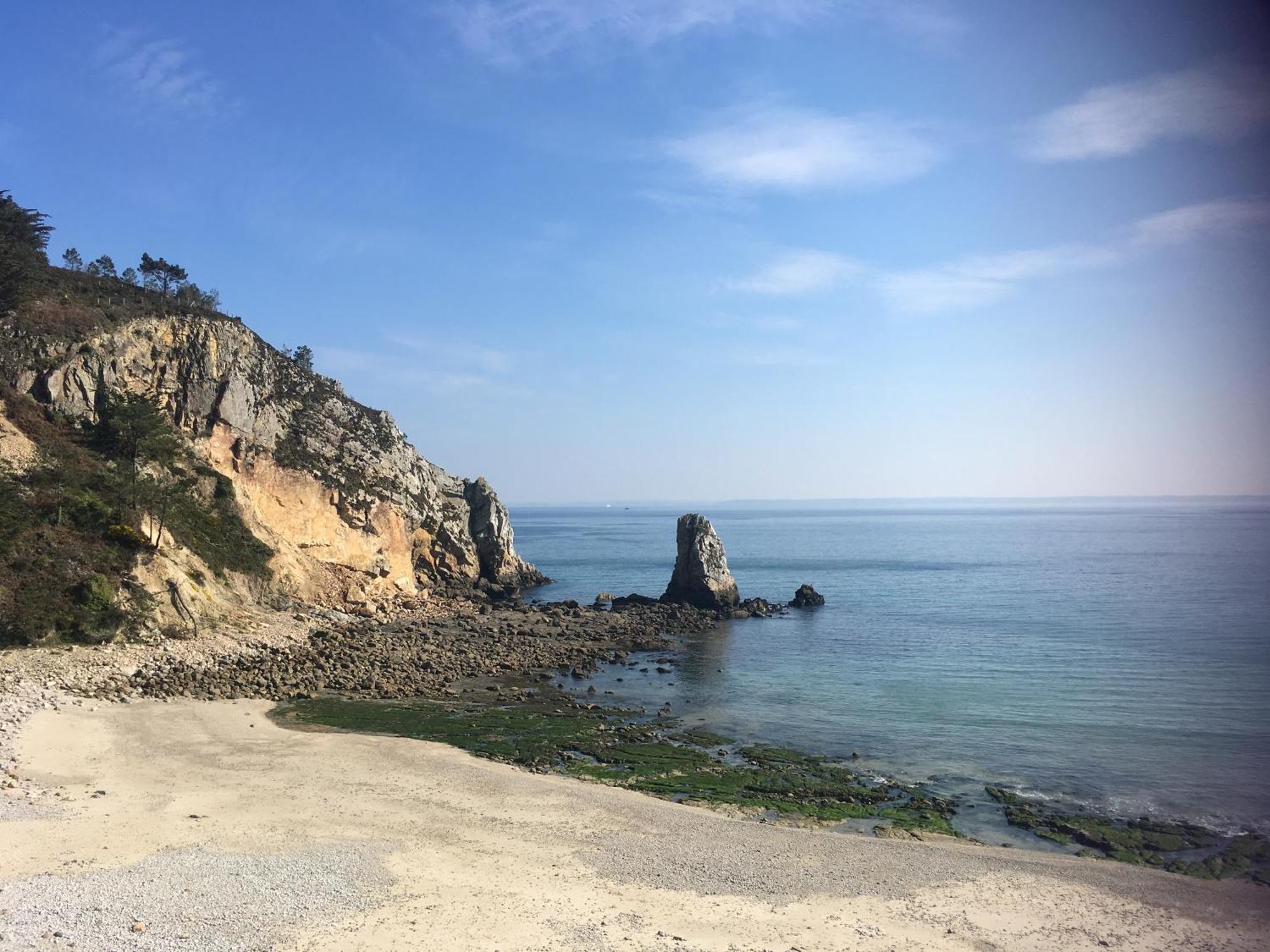 Ty Sea