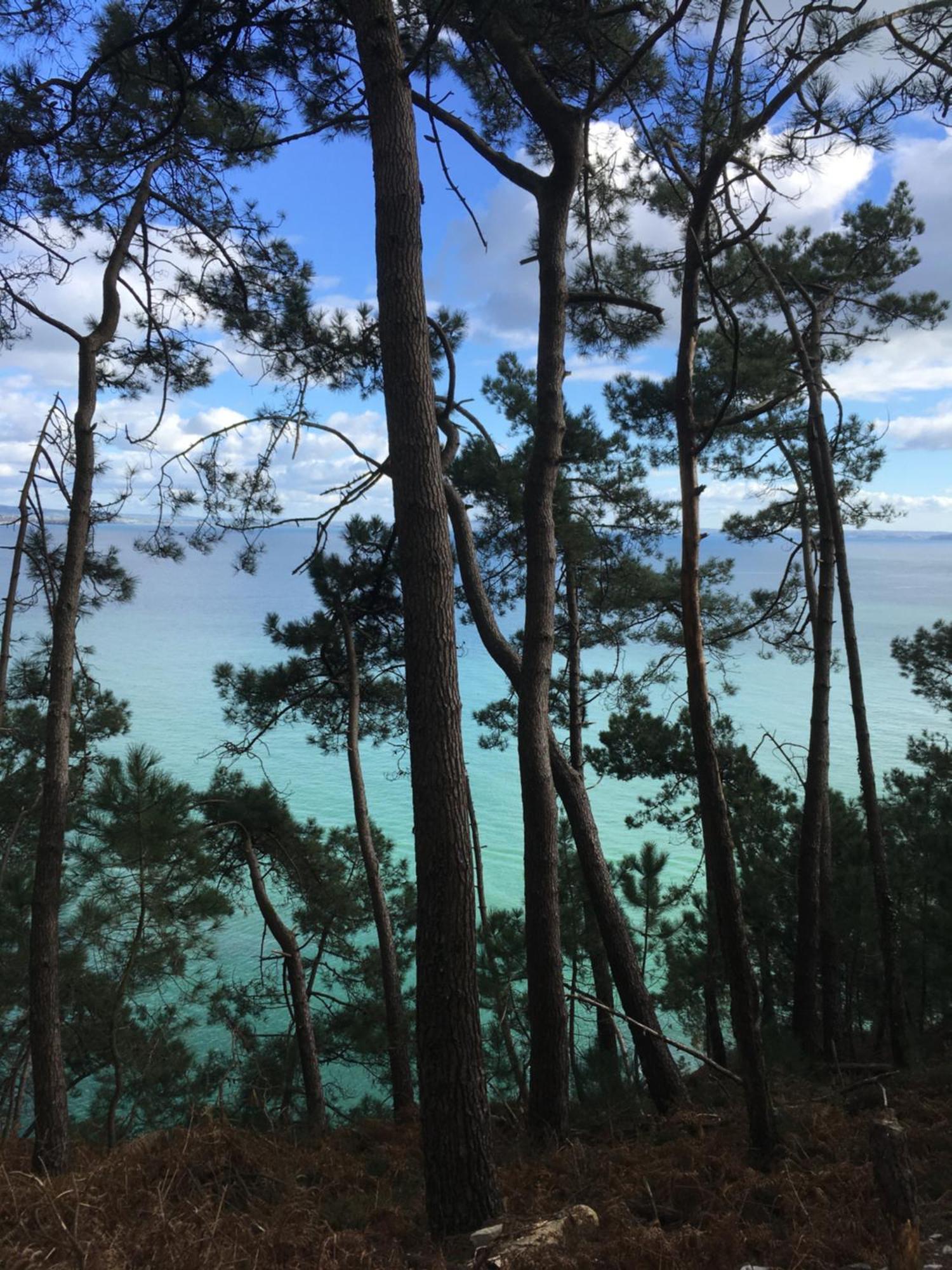 Appartement Ty Sea