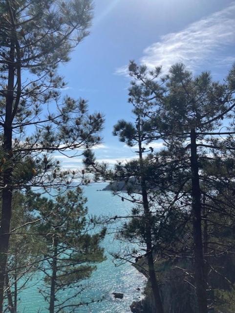 Appartement Ty Sea Crozon